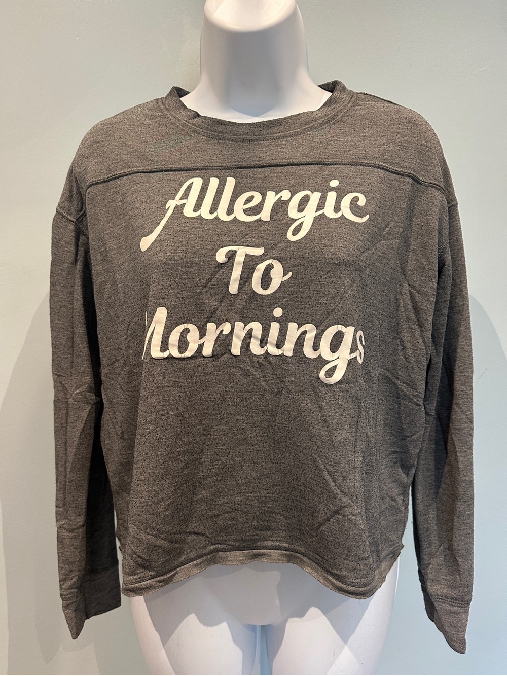 Fifth Sun Grey Heather Allergic To Mornings Long Sleeve Crewneck Pajama Top M